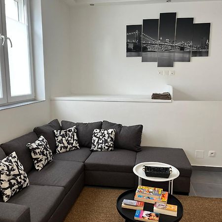 Apartament Le Luxembourg Villeurbanne Zewnętrze zdjęcie